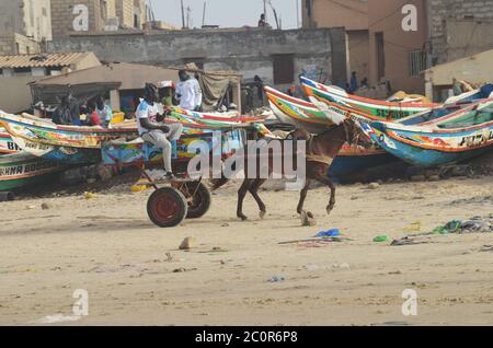 Ein Pferdewagen in Yoff Beach, einem bevölkerungsreichen Küstenviertel in Dakar, Senegal Stockfoto