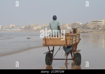 Ein Pferdewagen in Yoff Beach, einem bevölkerungsreichen Küstenviertel in Dakar, Senegal Stockfoto