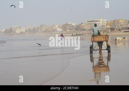 Ein Pferdewagen in Yoff Beach, einem bevölkerungsreichen Küstenviertel in Dakar, Senegal Stockfoto