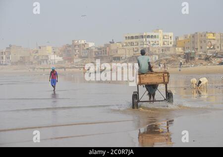 Ein Pferdewagen in Yoff Beach, einem bevölkerungsreichen Küstenviertel in Dakar, Senegal Stockfoto