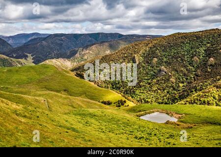 Hügel über dem Rangitikei River in Three Kings Range, Blick von der Erewon Road, nahe Erewon Station, Manawatu-Wanganui Region, Nordinsel, Neuseeland Stockfoto