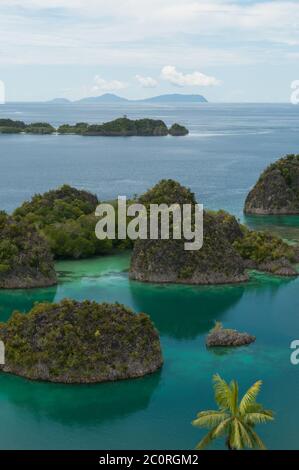 Viele kleine grüne Inseln gehören zu Fam-Insel im Meer von Raja Ampat, Papua-Neu-Guinea Stockfoto