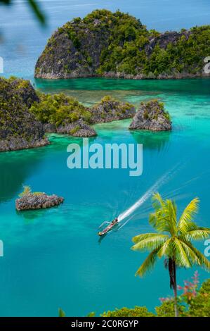 Boot Kreuzfahrt rund um kleine grüne Inseln gehören zu Fam-Insel im Meer von Raja Ampat, Papua-Neu-Guinea Stockfoto