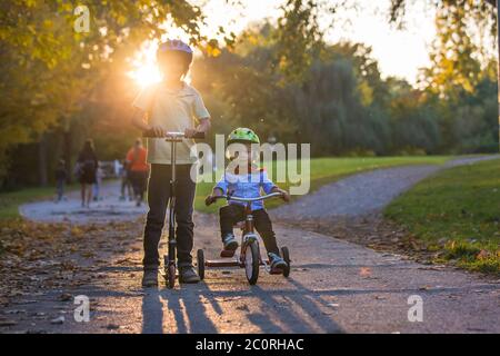 Schöne blonde zwei Jahre alten Kleinkind Junge und sein älterer Bruder, Reiten roten Dreirad und Roller im Park bei Sonnenuntergang, schönen Herbsttag Stockfoto