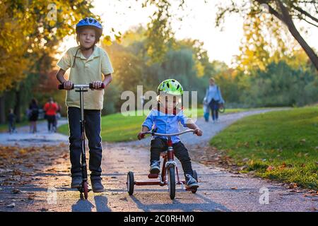 Schöne blonde zwei Jahre alten Kleinkind Junge und sein älterer Bruder, Reiten roten Dreirad und Roller im Park bei Sonnenuntergang, schönen Herbsttag Stockfoto