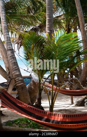 Nahaufnahme der Hängematte für Chillout entspannen Tied, Kokospalmen am Strand auf Mais Islans Bar Stockfoto