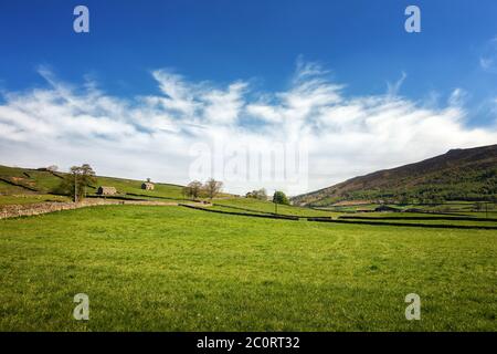 Blick auf das Wharfedale Tal in Richtung Skyreholme mit Simon's Seat auf der Skyline auf der rechten Seite und schönen alten Scheunen in der üppigen grünen Stockfoto