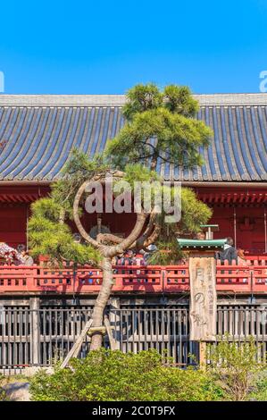 ueno, japan - märz 31 2020: Japanische Kiefer Tsuki no Matsu aus der Ukiyo-e von Utagawa Hiroshige, die mit einem Grapfenspalt in einem Kreis verbunden ist, der die erinnert Stockfoto