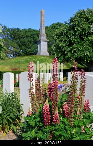 Das 49. (West Riding) Infanterie-Division-Denkmal in der Nähe des Essex Farm Cemetery (1914-1918) in Ypern, Belgien Stockfoto