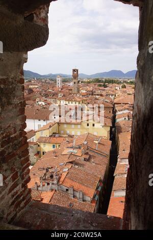 Blick vom Torre Guinigi über Lucca Stockfoto