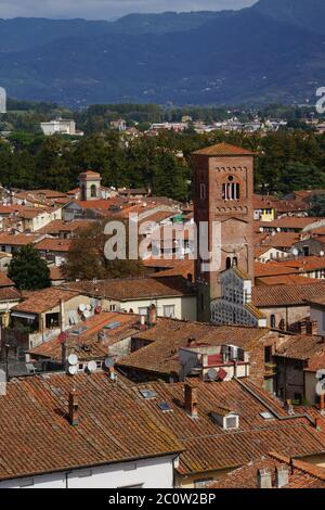 Blick vom Torre Guinigi über Lucca Stockfoto