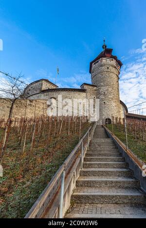 Nahaufnahme der Munot-Festung umgeben von Weinbergen im Zentrum der Schaffhauser Innenstadt an sonnigen Herbsttag mit blauer Himmelswolke in BA Stockfoto
