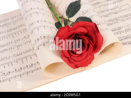 Die Rose auf Notebooks mit Noten Stockfoto