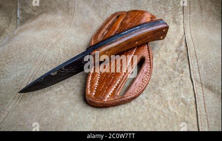 Ein damaszener Messer mit fester Klinge, das auf seiner Lederscheide im Pfannkuchen-Stil ausgestellt ist. Bokeh-Effekt. Stockfoto