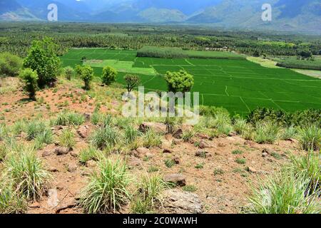 Thailaramman Tempel in Periyakulam Tamilnadu Stockfoto