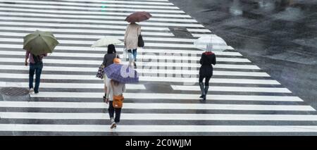 Fußgänger mit Regenschirm zu Fuß an der berühmten Shibuya Geradfahrt während eines regnerischen Tages mit Regenschirm, Tokio, Japan. Stockfoto