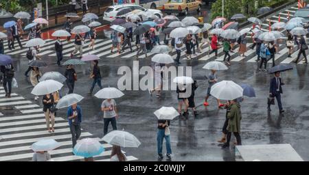 Fußgänger mit Regenschirm zu Fuß an der berühmten Shibuya Geradfahrt während eines regnerischen Tages mit Regenschirm, Tokio, Japan. Stockfoto