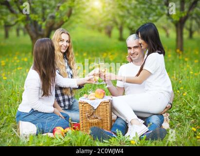 Glückliche Freunde trinken Champagner bei Picknick im Garten Stockfoto