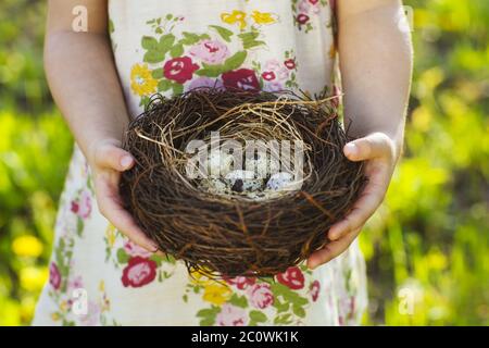 Kleines Mädchen hält ein Ostereier im nest Stockfoto