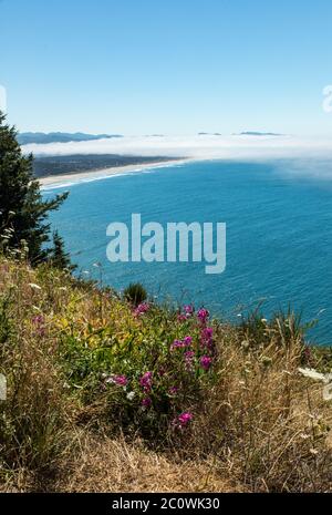 Vertikales Foto - Blick auf die zerklüftete Küste von Oregon mit Nebel, der vom Meer aus anzieht. Stockfoto