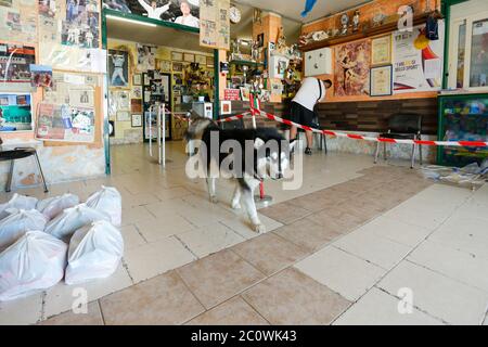 Neapel, KAMPANIEN, ITALIEN. Juni 2020. 13/06/2020 Neapel, Scampia Distrikt noch heute hilft der Meister von Judo Giovanni Maddaloni mit einem wöchentlichen Shopping die weniger wohlhabenden im Distrikt nördlich von Neapel berühmt für Grie's Erie TV Credit: Fabio Sasso/ZUMA Wire/Alamy Live News Stockfoto