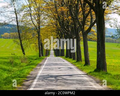 Schmale Straße mit Gasse am sonnigen Frühlingstag Stockfoto