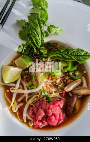 Traditionelle vietnamesische Pho bo-Rind-Nudelsuppe mit Nudeln Basilikum Koriander-Pilze und Bohnensprossen serviert Stockfoto