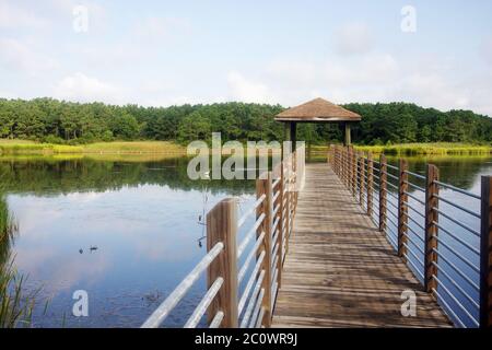 Blick über den ausgedehnten Salzmarsch im Huntington Beach State Park, South Carolina, USA. Niederland Feuchtgebiete und Promenade. Stockfoto