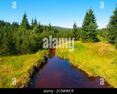 Kleiner Bergbach mitten in grünen Wiesen und Fichtenwald, Isergebirge, Tschechien Stockfoto