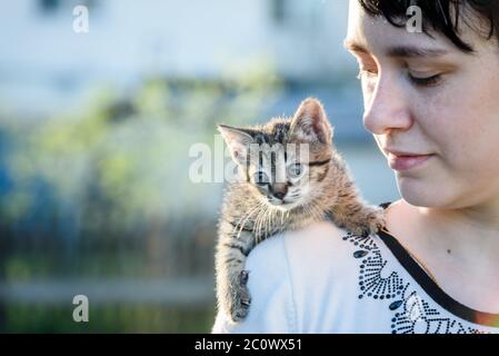 Ein kleines Kätzchen, das auf der Schulter eines Mädchens auf einem Spaziergang sitzt. Stockfoto