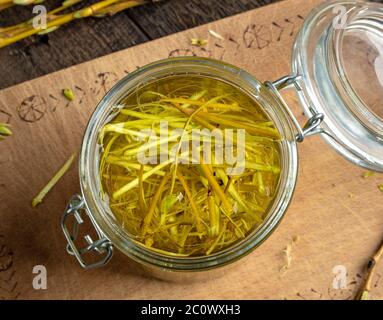 Vorbereitung von Kräutertinktur aus Weidenrinde und Alkohol, als natürliche Alternative zu Aspirin Stockfoto