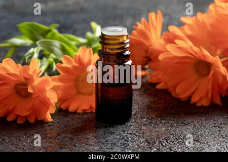 Eine dunkle Flasche ätherisches Öl mit frischen Ringelblumen Stockfoto