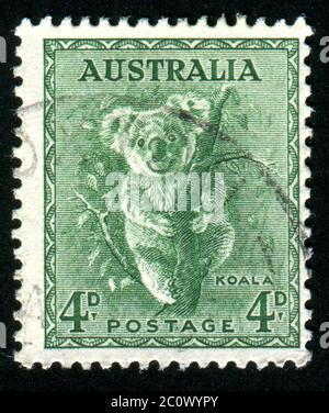 Australien - ca. 1937: Briefmarke gedruckt von Australien, zeigt Koala, ca. 1937 Stockfoto