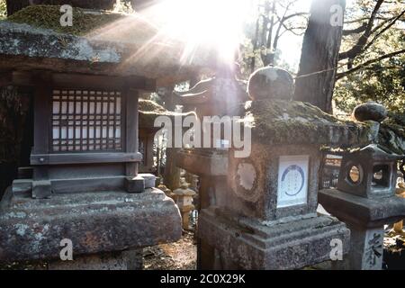 Sonne scheint durch Steinlaternen im Kasuga Schrein in Nara Japan Stockfoto