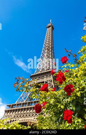 Der Eiffelturm in Paris Stockfoto