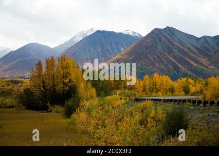 Herbstfahrt entlang des Alaska Highway im Kluane National Park and Reserve - Yukon Territories, Kanada. Stockfoto