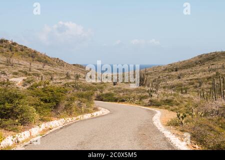 Straße, die durch den Arikok National Park, Aruba, führt Stockfoto