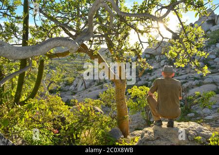 Mexiko, Baja California Sur, Mann in der Wüste bei La Paz MR Stockfoto