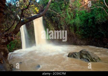 Banias fällt, Israel Stockfoto