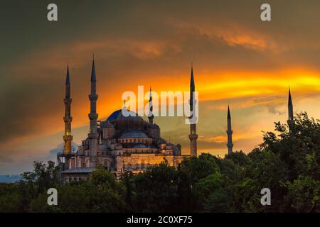 Blaue Moschee (Sultan Ahmet Moschee) in Istanbul, Türkei in einer schönen Sommernacht Stockfoto