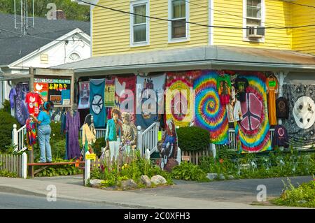 Haus und Geschäft in Woodstock, New York, USA Stockfoto