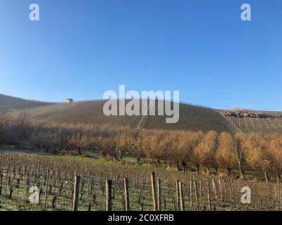 Die Hügel der Region Bussia - Monforte d'Alba - Piemont - Italien Stockfoto