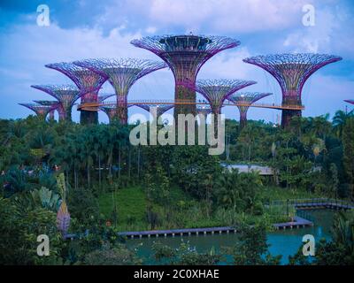 Gärten durch die Bucht. Singapur Stockfoto