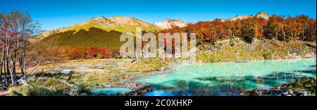 Schöne Landschaft von lenga Wald, in den Bergen des Tierra del Fuego National Park, Patagonien, Herbst Stockfoto