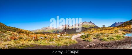 Schöne Landschaft von lenga Wald, in den Bergen des Tierra del Fuego National Park, Patagonien, Herbst Stockfoto