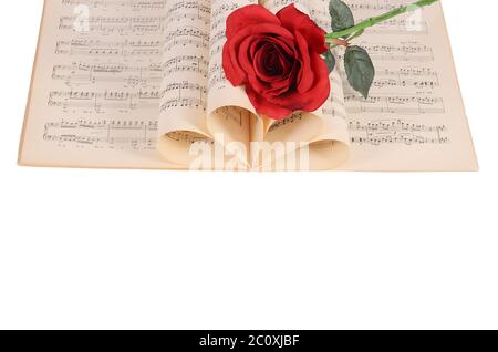 Die Rose auf Notebooks mit Noten Stockfoto