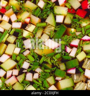 Okroshka aus frischem Gemüse. Kalte Suppe. Stockfoto