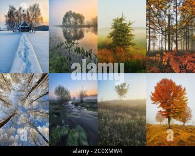 Four Seasons Collage - Frühling, Sommer, Herbst, Winter Stockfoto