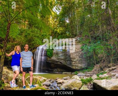 Touristen-Couplestand unter großen Farnbaum mit Serenity Falls im Hintergrund Stockfoto