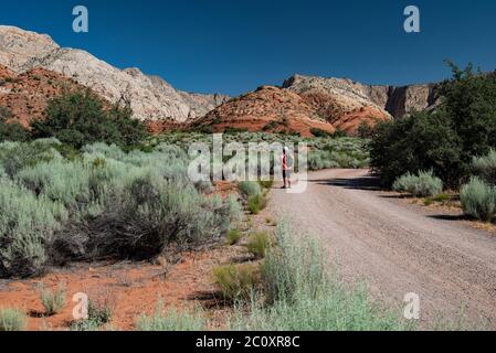 Rote Felsberge und vulkanische Formationen dominieren diesen wunderschönen State Park im Süden Utahs. Stockfoto